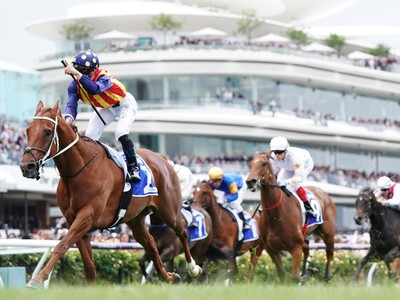 What Makes Owning Everest Contender, Nature Strip So Revolut ... Image 2